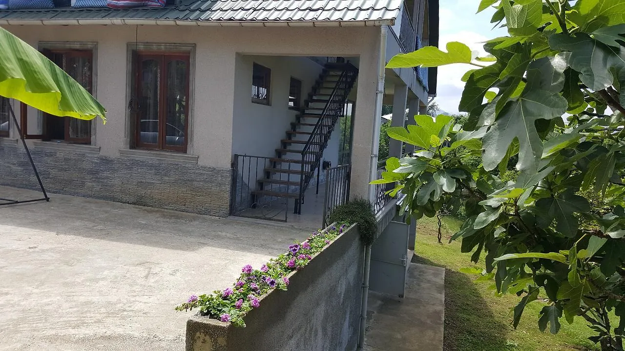 Olga'S Home Batumi Guest house