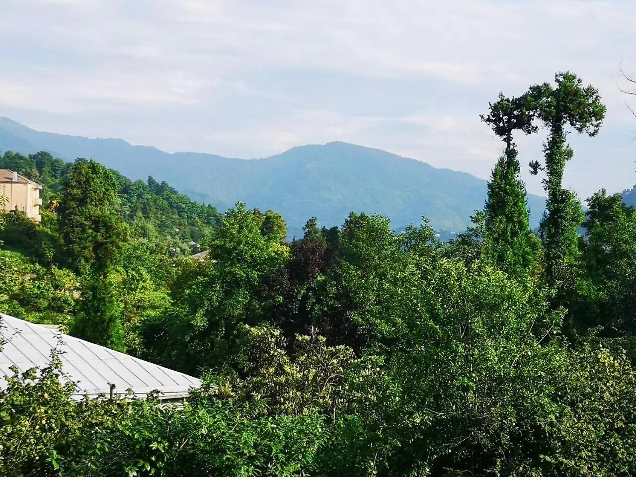 Olga'S Home Batumi Guest house